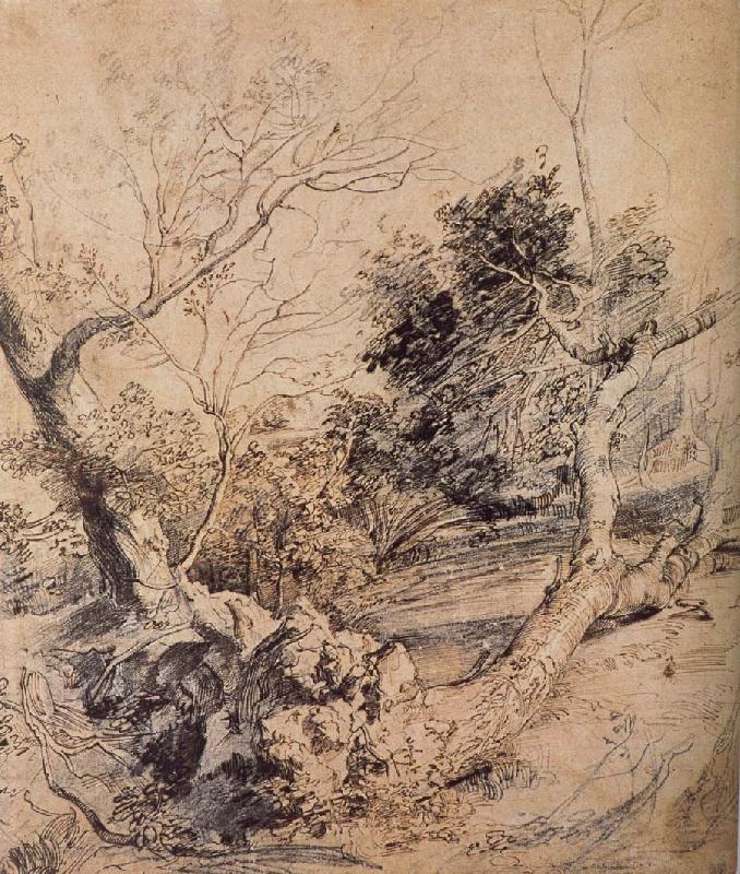 Peter Paul Rubens Forest landscape France oil painting art